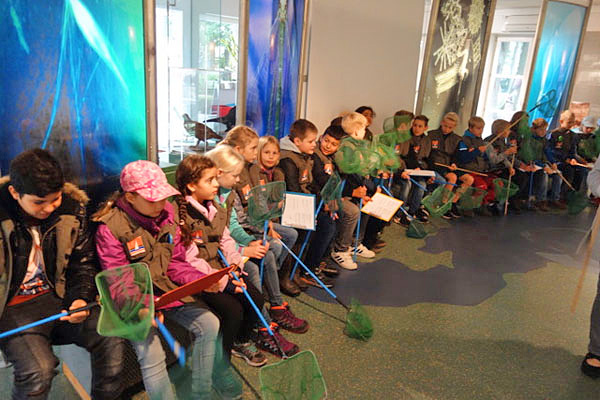 Die Klassen 4a und 4c besuchten den Dümmer