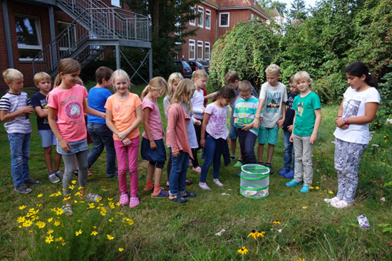 Wir starten ein Schmetterlingsprojekt!