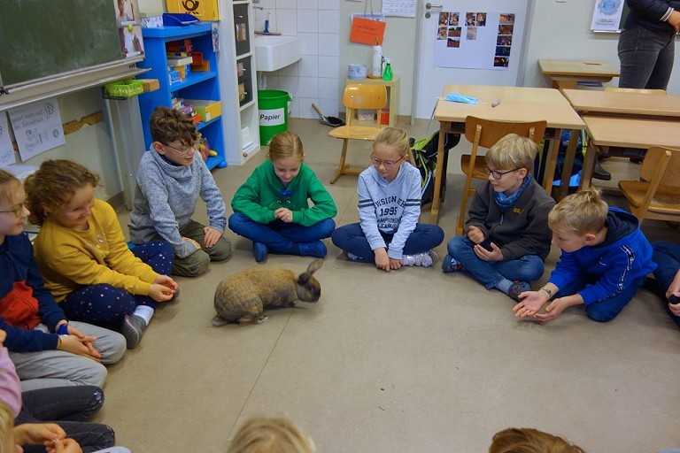 Tierischer Besuch im Rahmen des Sachunterrichts