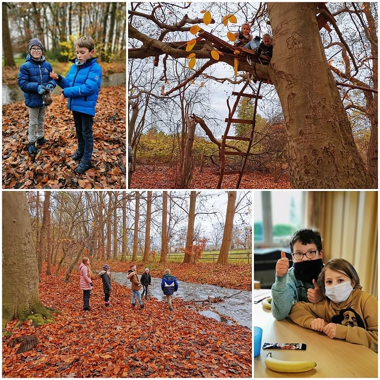 Waldtag der 4b im Kirchweyher Ellernbruch I