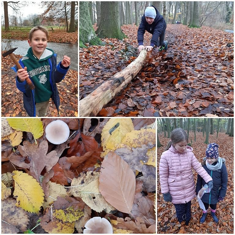 Waldtag der 4b im Kirchweyher Ellernbruch III