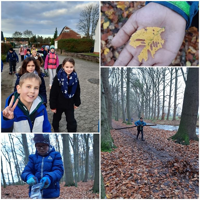 Waldtag der 4b im Kirchweyher Ellernbruch V