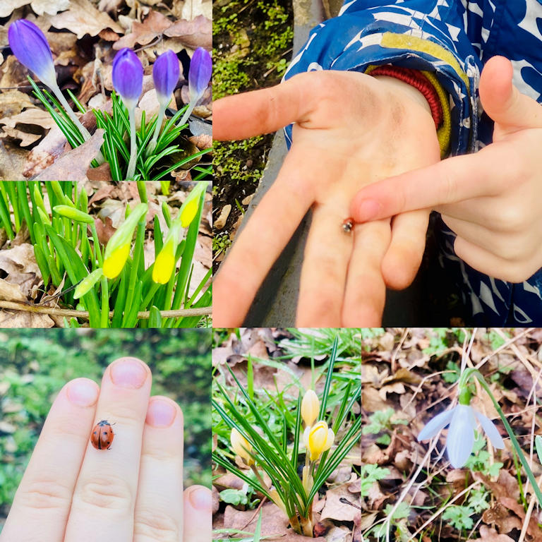 Frühlingserwachen
