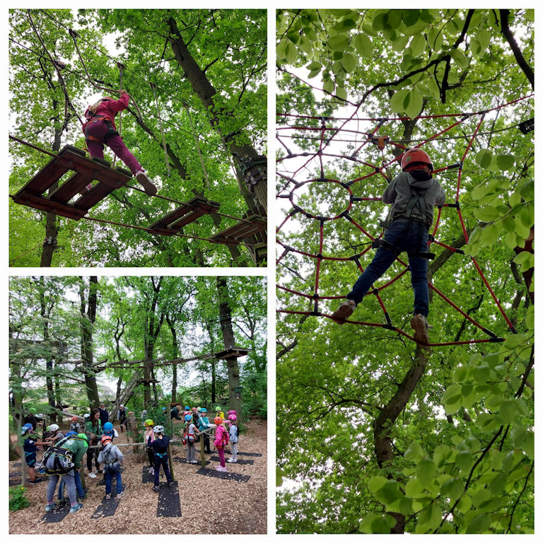 Der 2. Jahrgang im Wipfelstürmer-Kletterwald in Stuhr