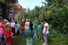 Wir starten ein Schmetterlingsprojekt!