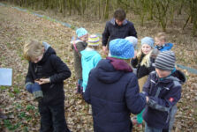 Frühlingssuche im Böttchers Moor