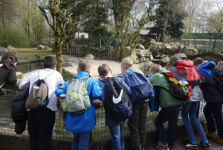 Toller Tag im Tier- und Freizeitpark Thüle