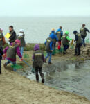Die Klassen 4a und 4c besuchten den Dümmer